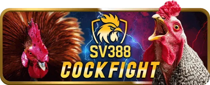 Chiến thuật săn boss VZ888