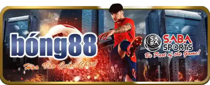 Cá cược có trách nhiệm VZ888